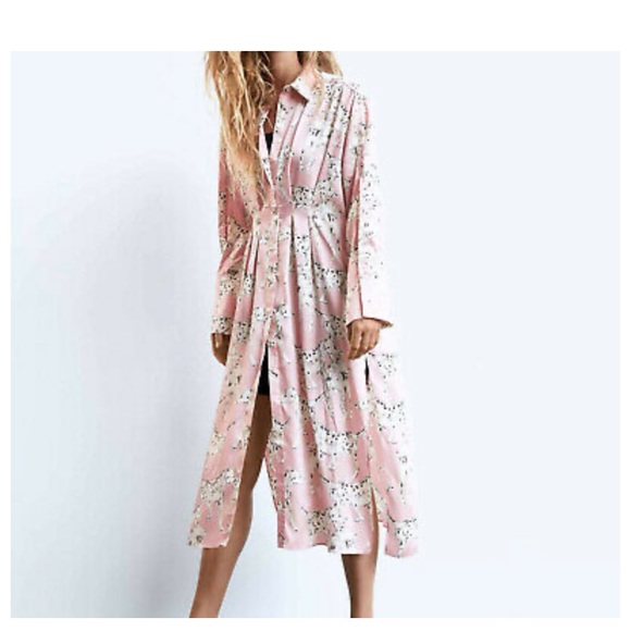 Zara Dresses Iso Dog Print Shirt Dress Poshmark